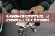 还没离婚我去打扰对方报警，还没离婚我去打扰对方报警有用吗