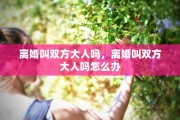 离婚叫双方大人吗，离婚叫双方大人吗怎么办