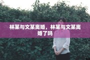 林某与文某离婚，林某与文某离婚了吗