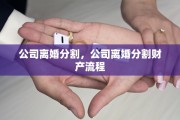 公司离婚分割，公司离婚分割财产流程