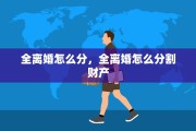 全离婚怎么分，全离婚怎么分割财产