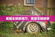 离婚车转移技巧，离婚车辆转移