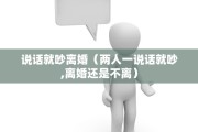 说话就吵离婚（两人一说话就吵,离婚还是不离）
