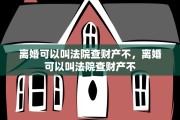 离婚可以叫法院查财产不，离婚可以叫法院查财产不
