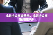 沈阳协议离婚费用，沈阳协议离婚费用多少