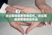 诉讼离婚需要带啥证件，诉讼离婚需要带啥证件去
