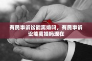 有民事诉讼能离婚吗，有民事诉讼能离婚吗现在