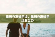 我想办离婚手续，我想办离婚手续怎么办
