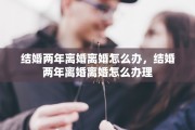 结婚两年离婚离婚怎么办，结婚两年离婚离婚怎么办理