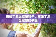 离婚了怎么探望孩子，离婚了怎么探望孩子呢