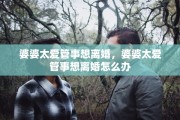 婆婆太爱管事想离婚，婆婆太爱管事想离婚怎么办