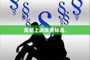 离婚上诉收费标准，