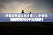 老婆闹离婚现在冷战中，老婆闹离婚现在冷战中要离婚吗
