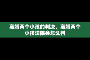 离婚两个小孩的判决，离婚两个小孩法院会怎么判