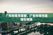 广东东莞市离婚，广东东莞市离婚在哪里
