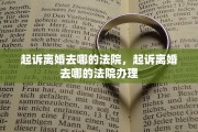 起诉离婚去哪的法院，起诉离婚去哪的法院办理
