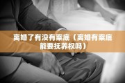 离婚了有没有案底（离婚有案底能要抚养权吗）