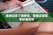 离婚证拿了啥感觉,离婚证拿到手好痛苦啊 离婚证拿了啥感觉,离婚证拿到手好痛苦啊