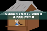 父母离婚儿子卖房子，父母离婚儿子卖房子怎么办