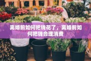 离婚前如何把钱花了，离婚前如何把钱合理消费