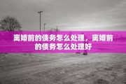 离婚前的债务怎么处理，离婚前的债务怎么处理好