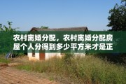 农村离婚分配，农村离婚分配房屋个人分得到多少平方米才是正规的