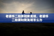 老婆怀二胎要和我离婚，老婆怀二胎要和我离婚怎么办