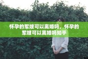 怀孕的军嫂可以离婚吗，怀孕的军嫂可以离婚吗知乎