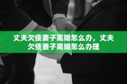 丈夫欠债妻子离婚怎么办，丈夫欠债妻子离婚怎么办理