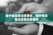 婚外情离婚法律责任，婚外情离婚法律责任有哪些