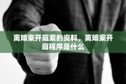 离婚案开庭案的资料,离婚案开庭程序是什么 离婚案开庭案的资料,离婚案开庭程序是什么