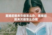 离婚后前夫欠债怎么办，离婚后前夫欠债怎么办呢