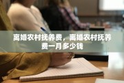 离婚农村抚养费，离婚农村抚养费一月多少钱