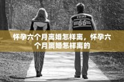 怀孕六个月离婚怎样离，怀孕六个月离婚怎样离的