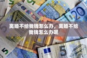 离婚不给我钱怎么办，离婚不给我钱怎么办呢