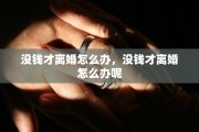 没钱才离婚怎么办，没钱才离婚怎么办呢