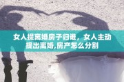 女人提离婚房子归谁，女人主动提出离婚,房产怎么分割