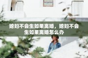媳妇不会生如果离婚，媳妇不会生如果离婚怎么办