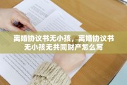 离婚协议书无小孩，离婚协议书无小孩无共同财产怎么写