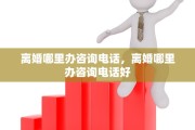 离婚哪里办咨询电话，离婚哪里办咨询电话好
