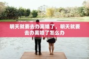 明天就要去办离婚了，明天就要去办离婚了怎么办