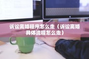 诉讼离婚程序怎么走（诉讼离婚具体流程怎么走）