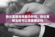 协议离婚当场能办好吗，协议离婚当场可以拿离婚证吗