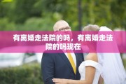 有离婚走法院的吗，有离婚走法院的吗现在