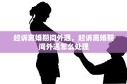 起诉离婚期间外遇，起诉离婚期间外遇怎么处理
