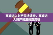 离婚进入财产司法调查，离婚进入财产司法调查流程