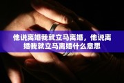 他说离婚我就立马离婚，他说离婚我就立马离婚什么意思