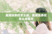 离婚抚养权怎么给，离婚抚养权怎么给男方
