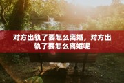 对方出轨了要怎么离婚，对方出轨了要怎么离婚呢
