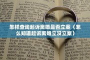 怎样查询起诉离婚是否立案（怎么知道起诉离婚立没立案）